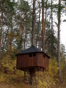 bilde av ei brun hytte bygget i et tre