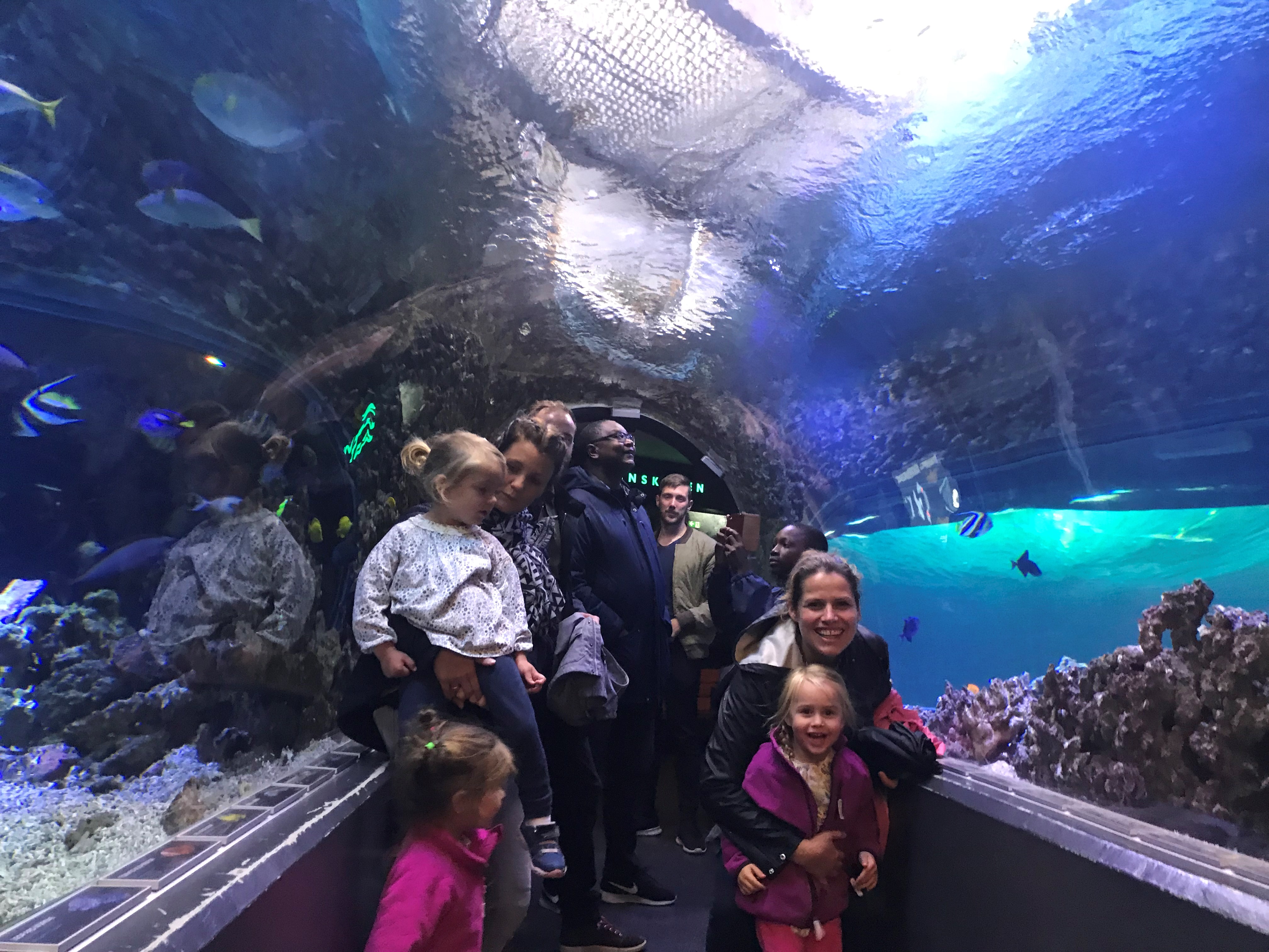 en gruppe mennesker som står inne i en glasstunnel inne i den største fisketanken på akvariet i Bergen